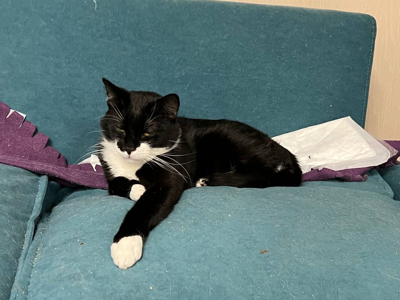 Говорун Феликс