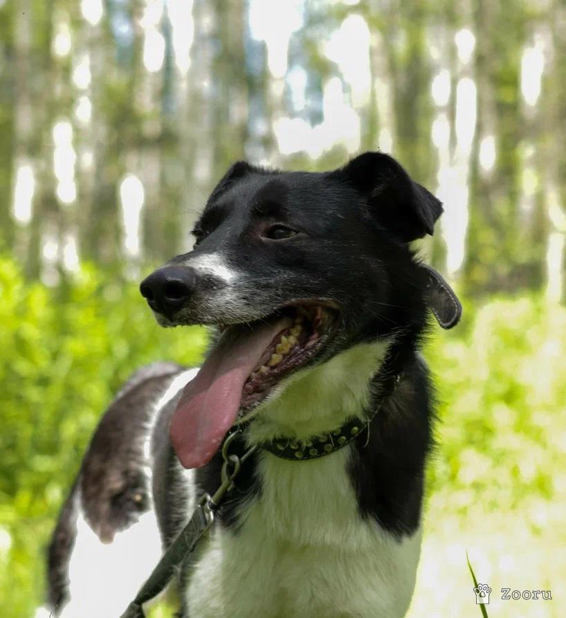Клэр