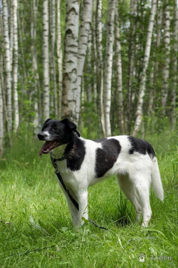 Клэр