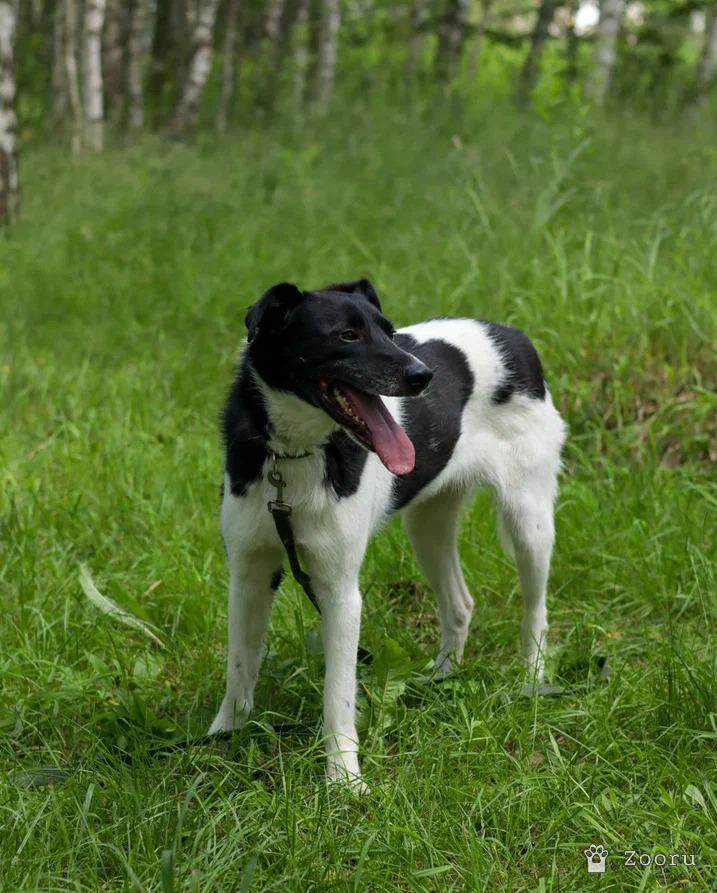 Клэр