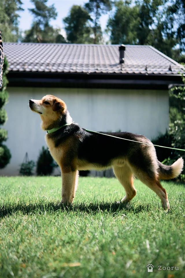 Хавьер