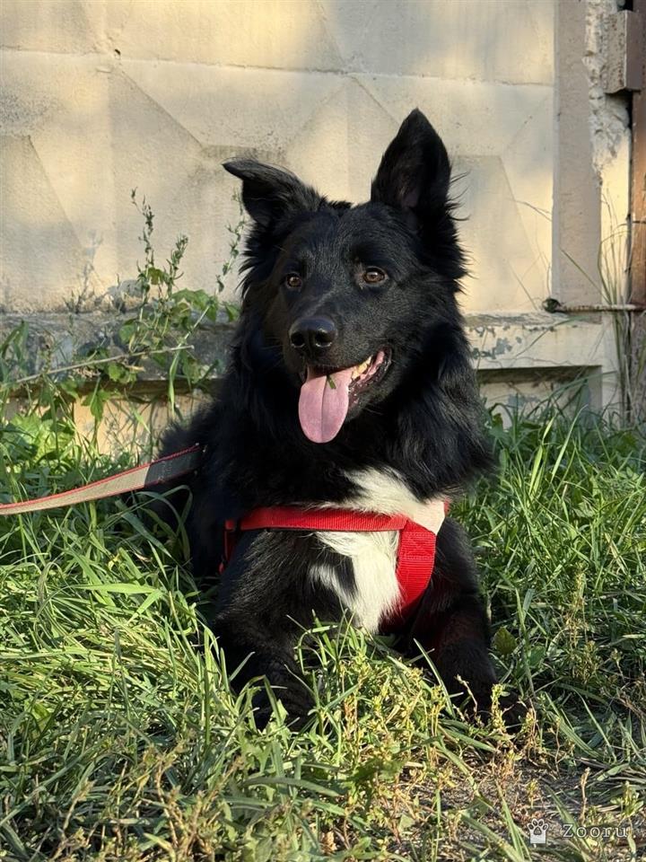 Марик