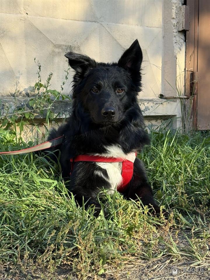 Марик