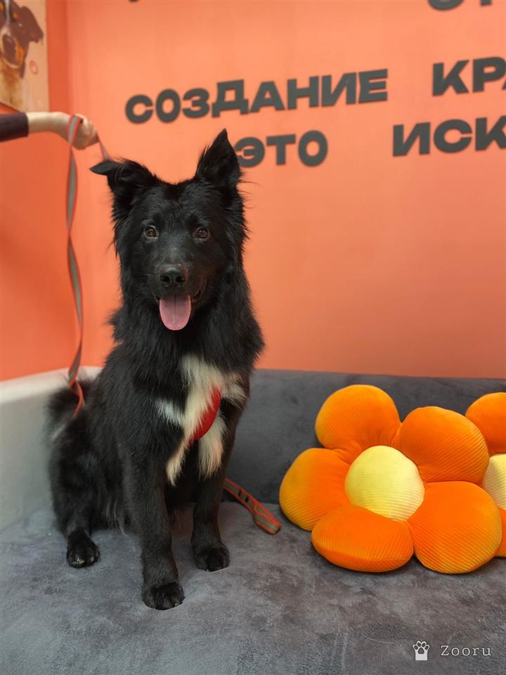 Марик