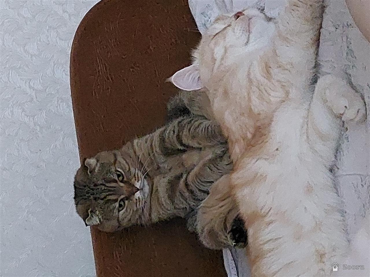 Маруся и Бакс