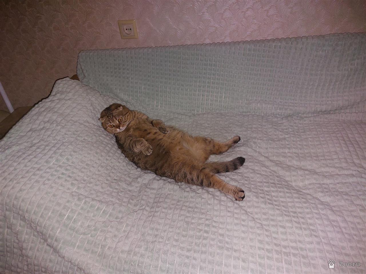 Маруся и Бакс