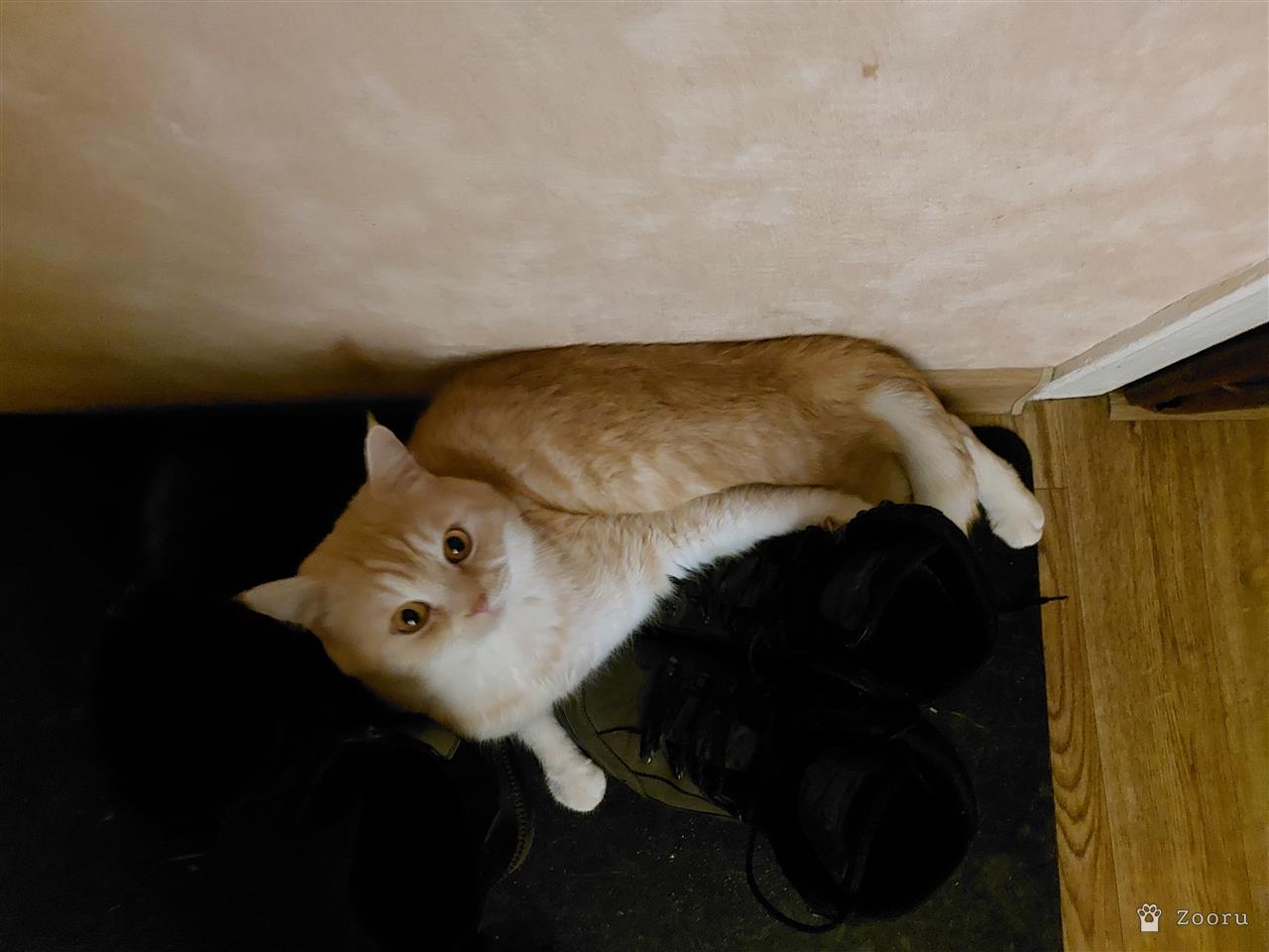 Маруся и Бакс