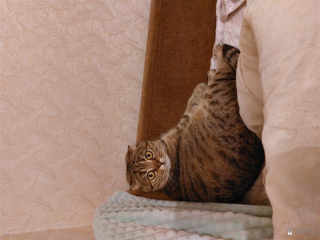 Маруся и Бакс