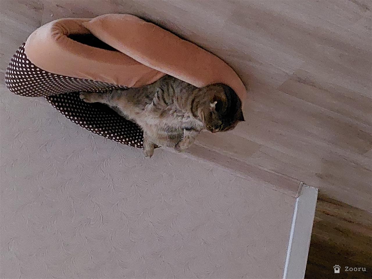 Маруся и Бакс