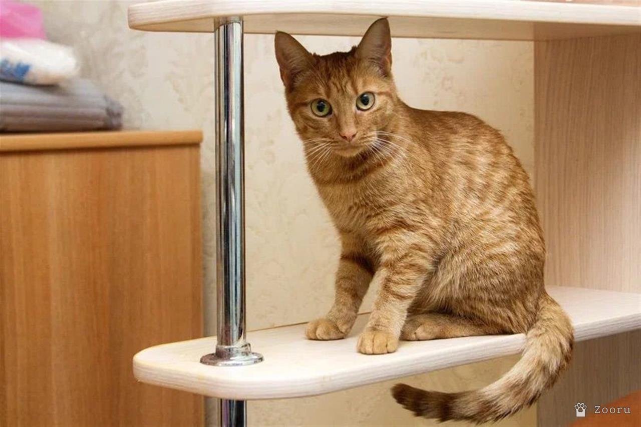 яркая и солнечная девчонка - Ириска