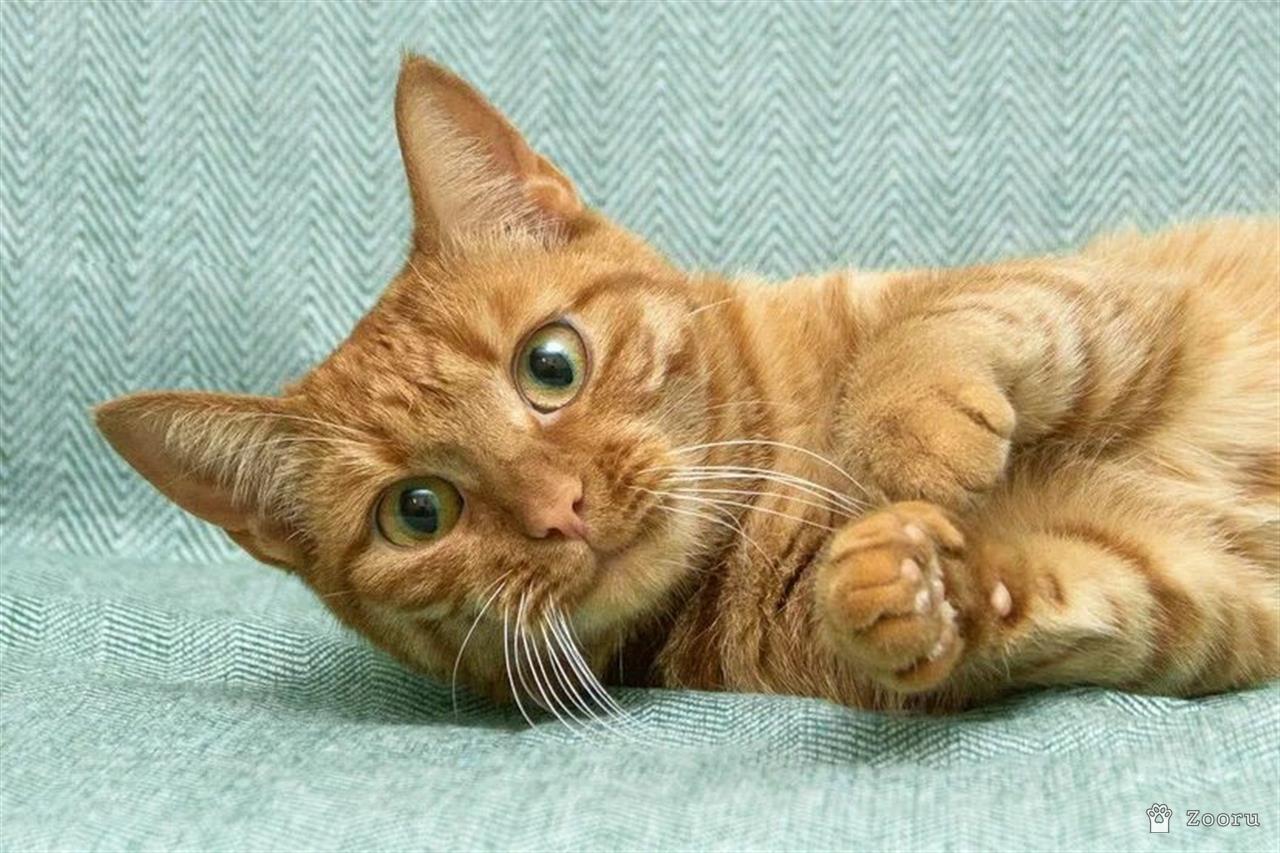 яркая и солнечная девчонка - Ириска