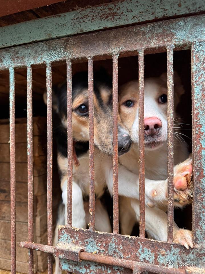 ХЕЛЕН И БОБ