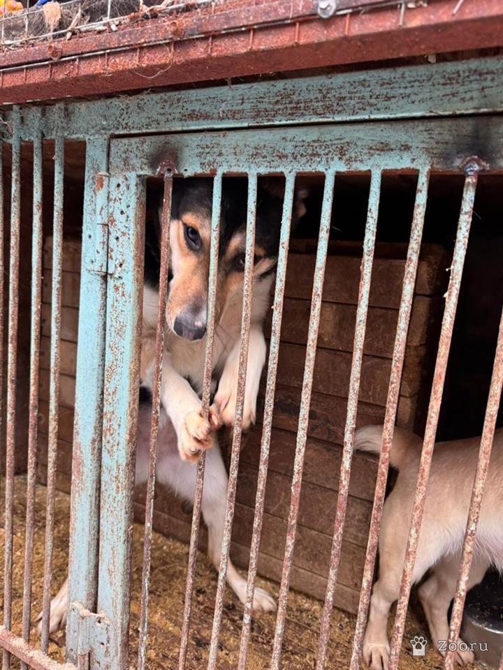 ХЕЛЕН И БОБ