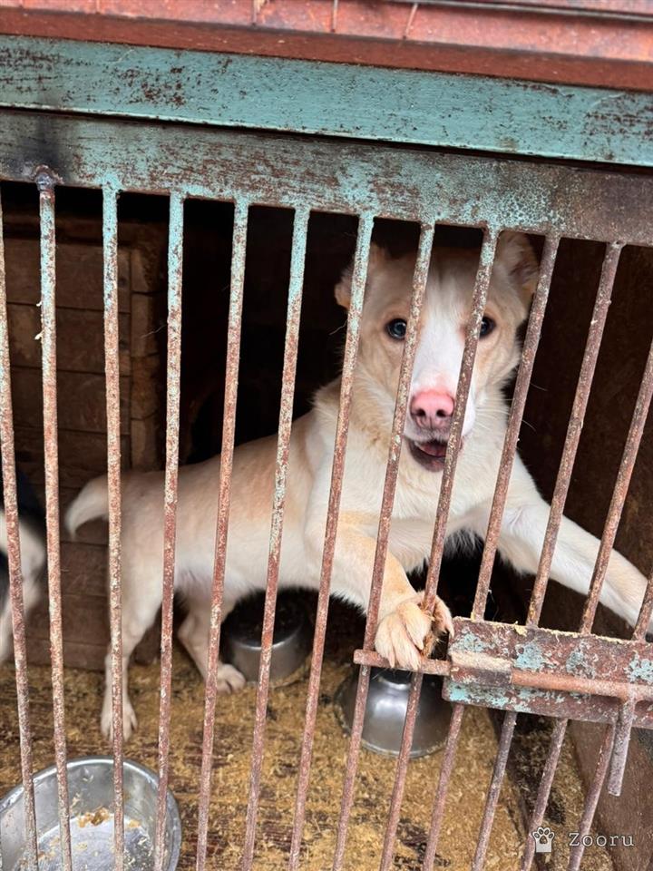 ХЕЛЕН И БОБ