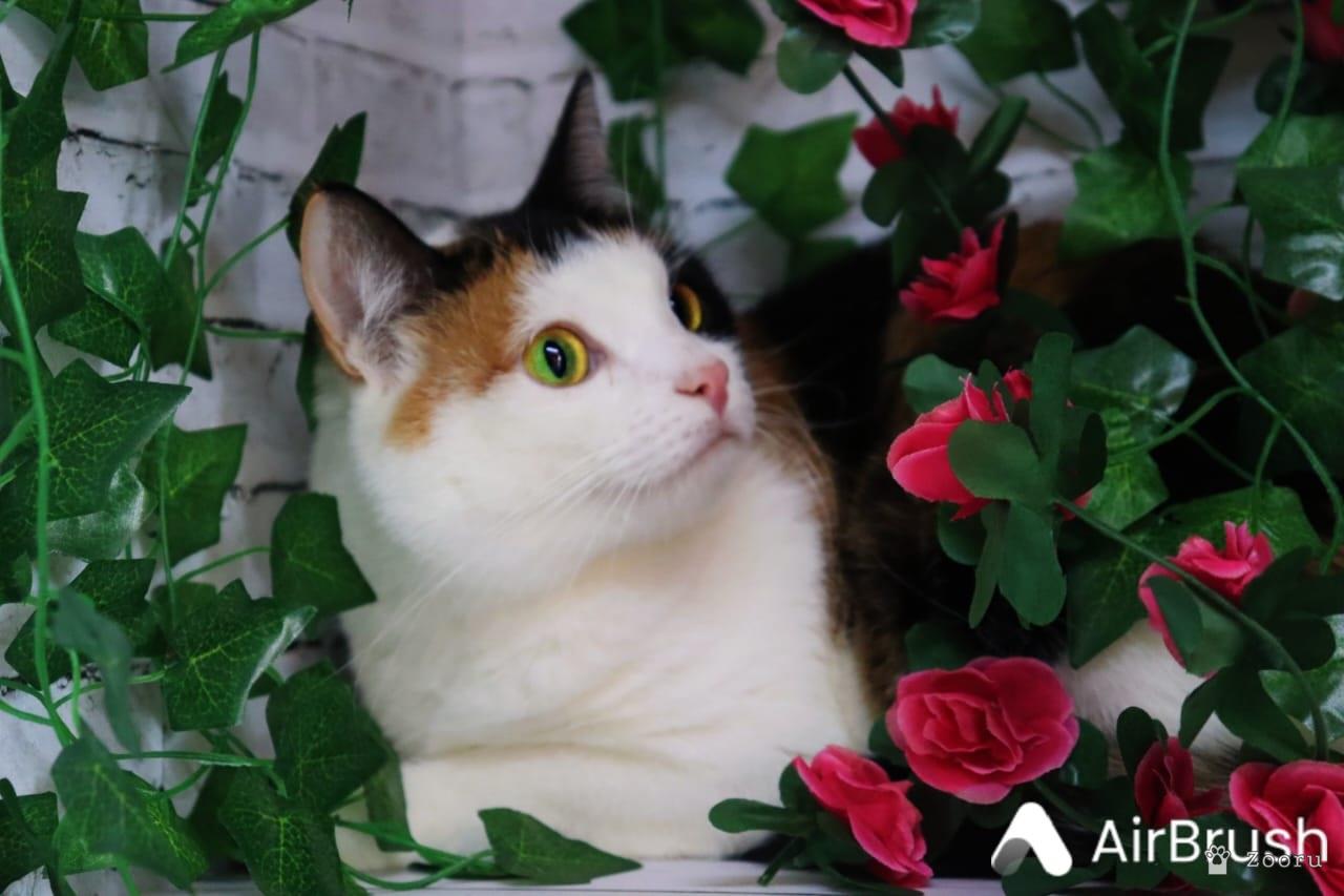 Марфа и Гоша