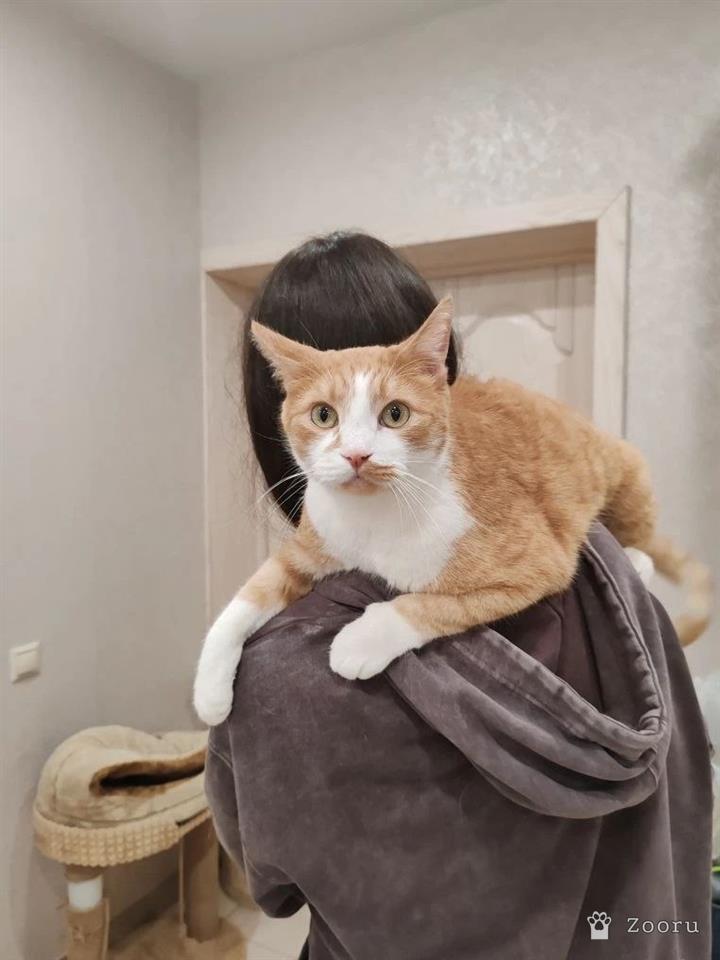 Митяй
