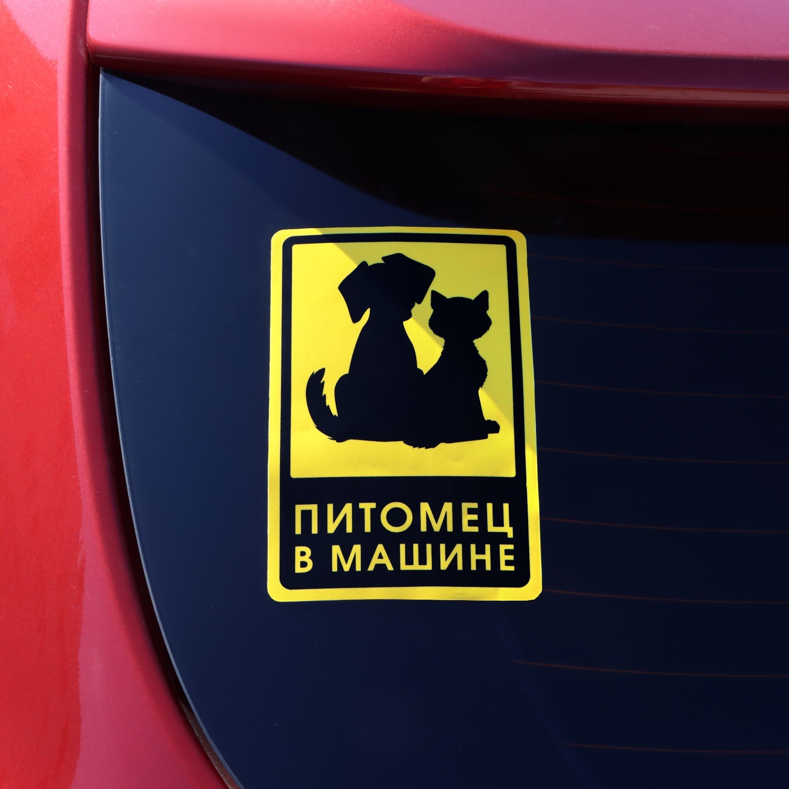 Зоотакси в Перми