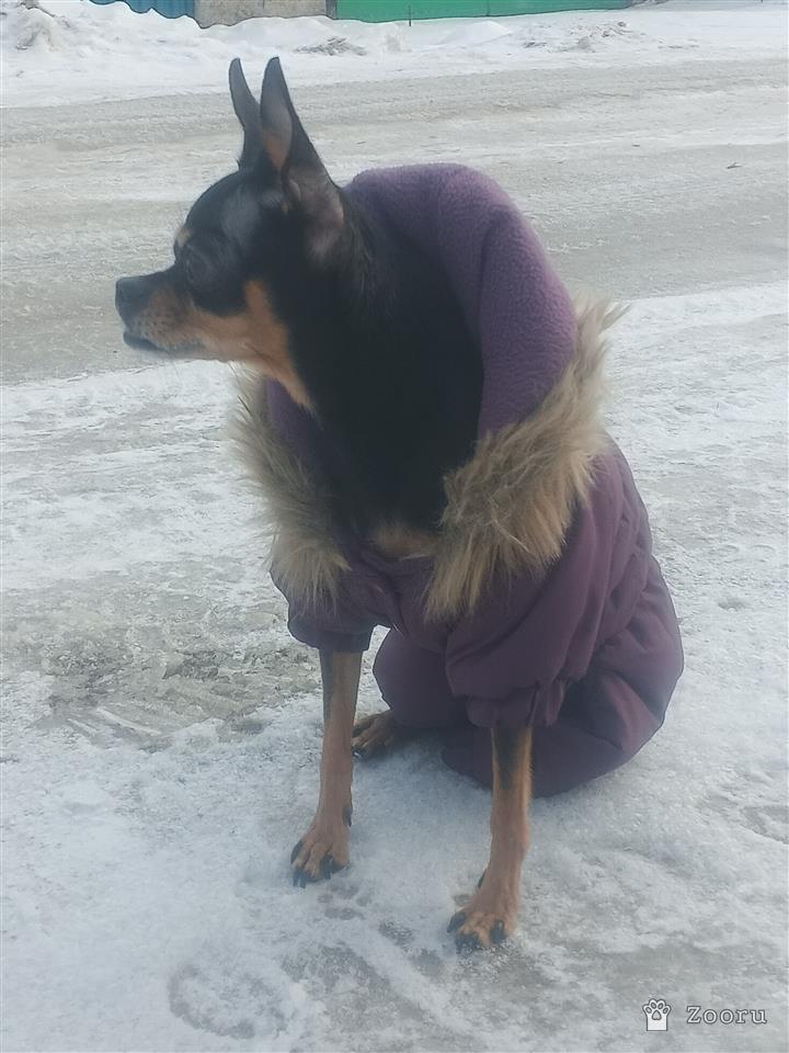 Боня