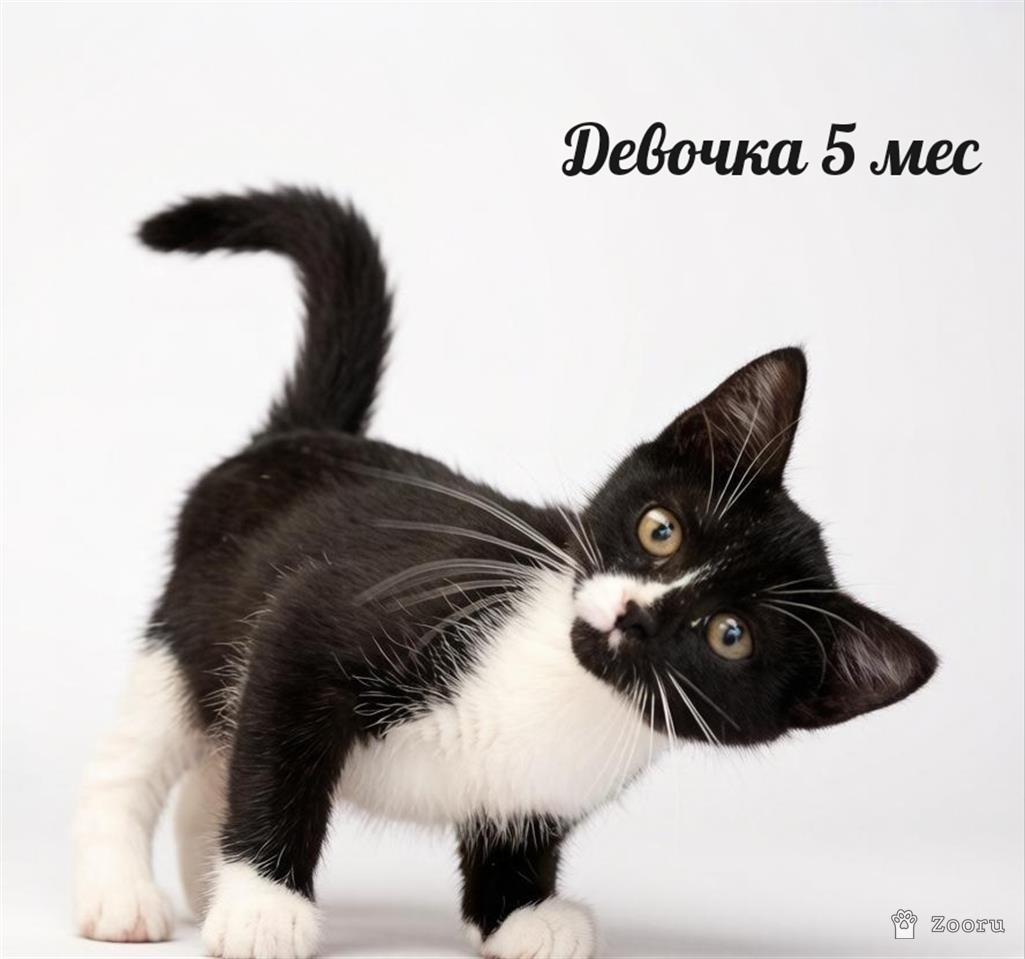 нет