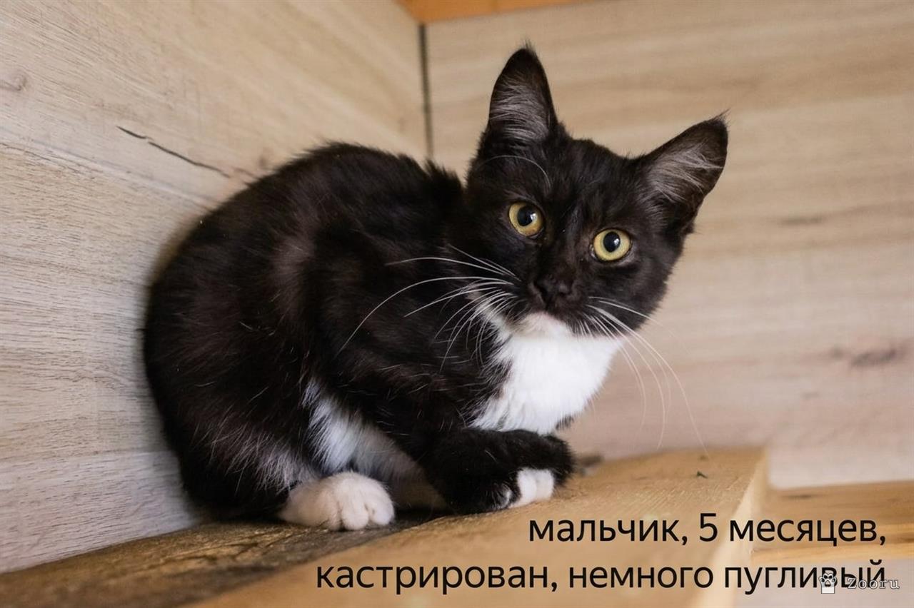 нет