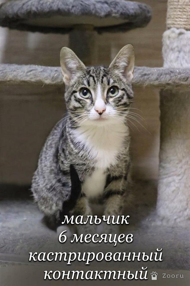 нет