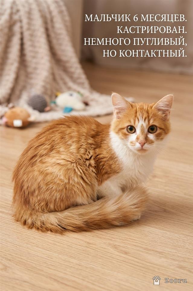 нет