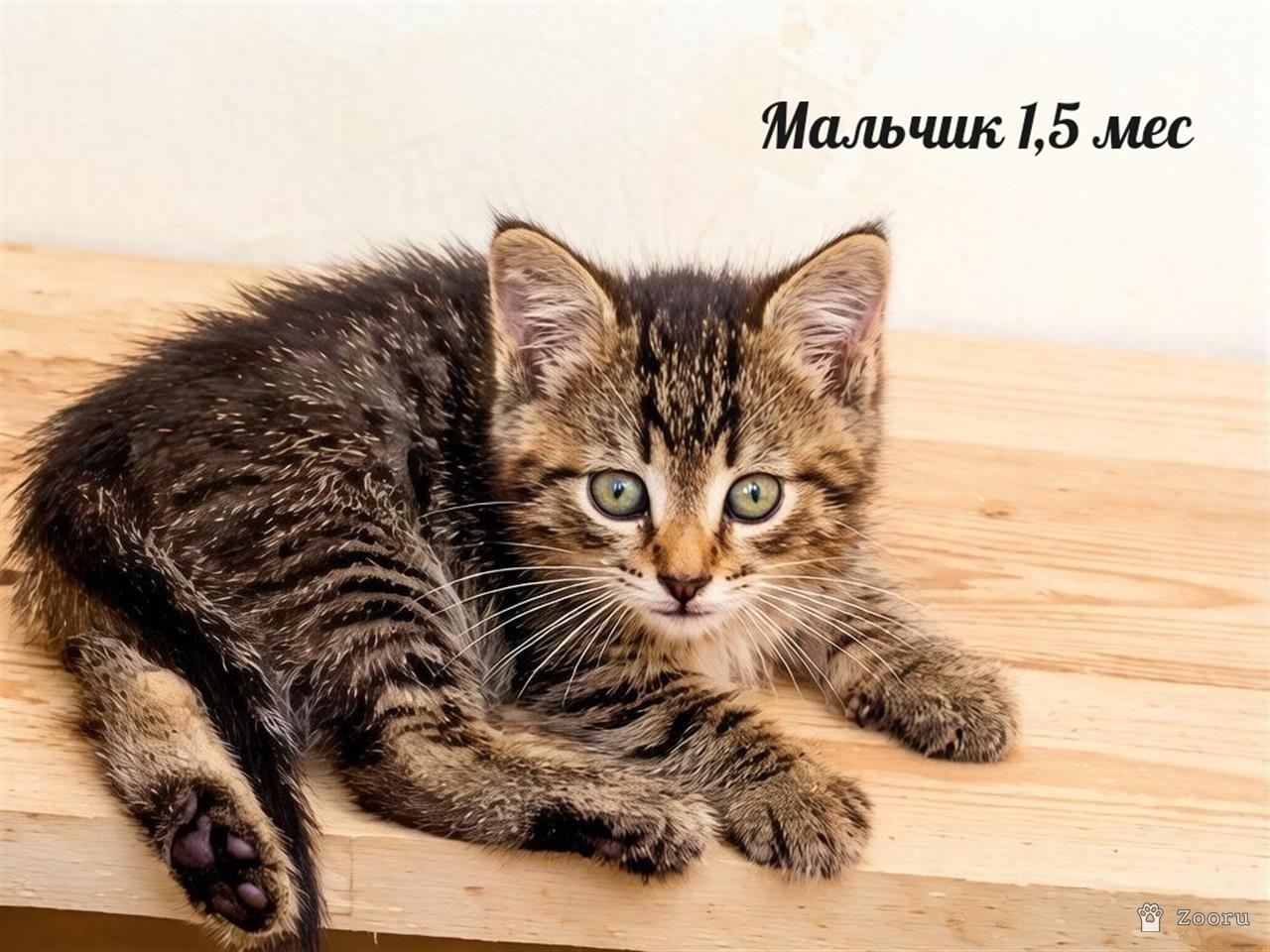 нет