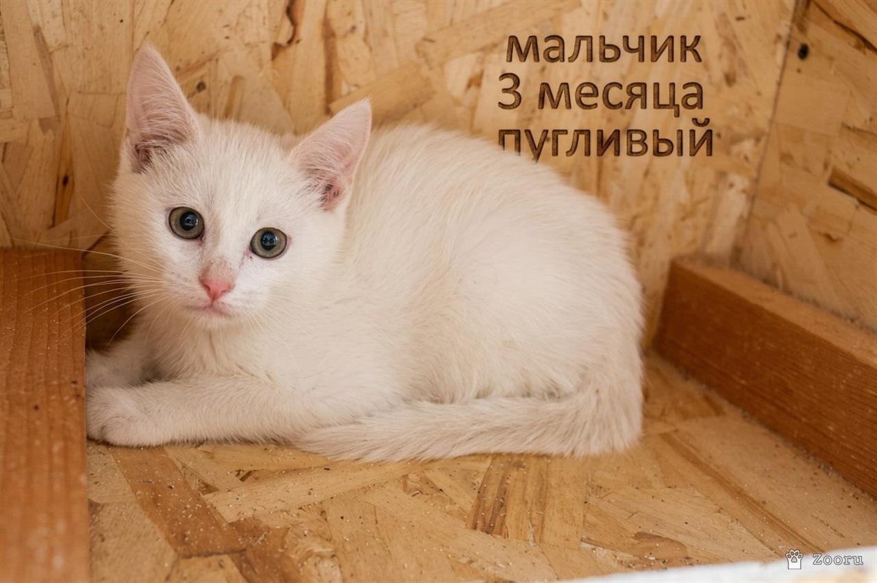 нет