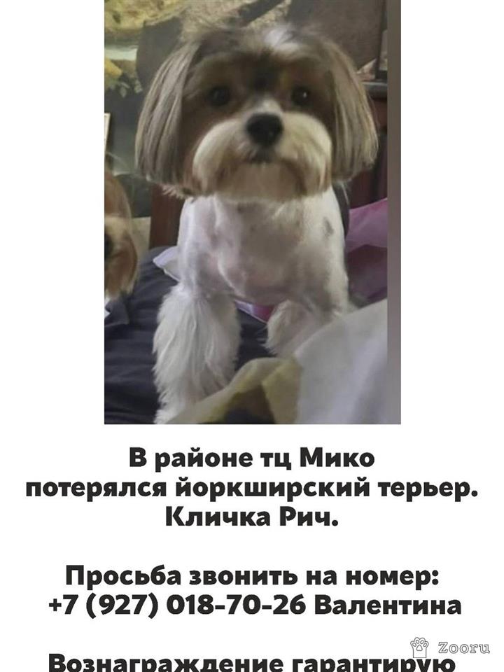 Рич