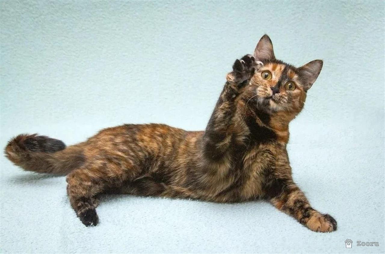 Карамелька