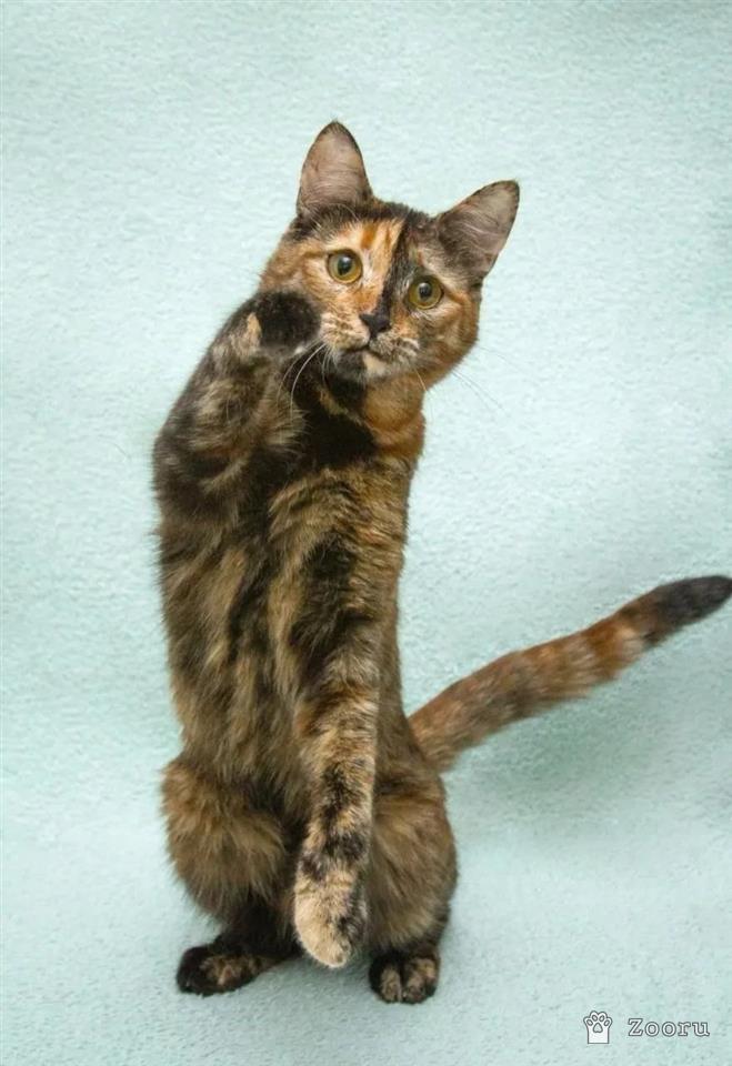 Карамелька