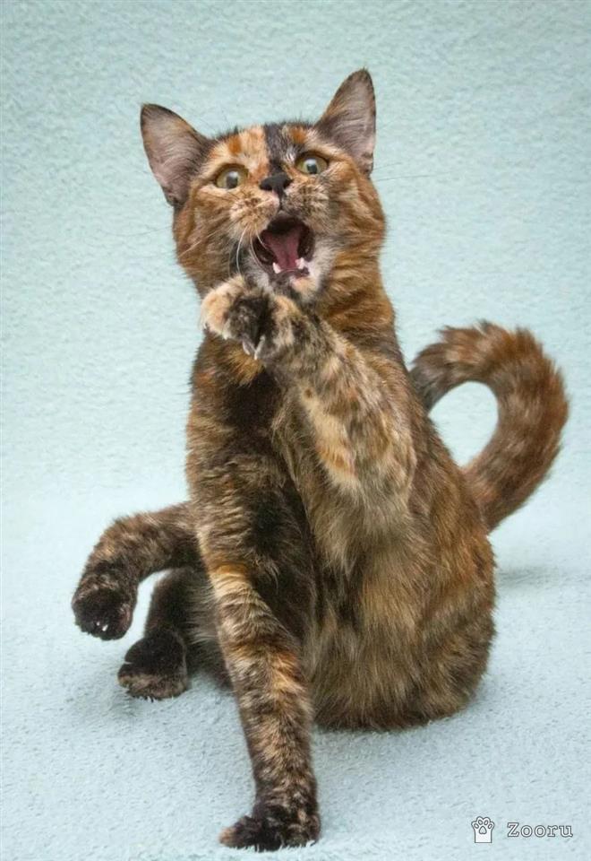 Карамелька