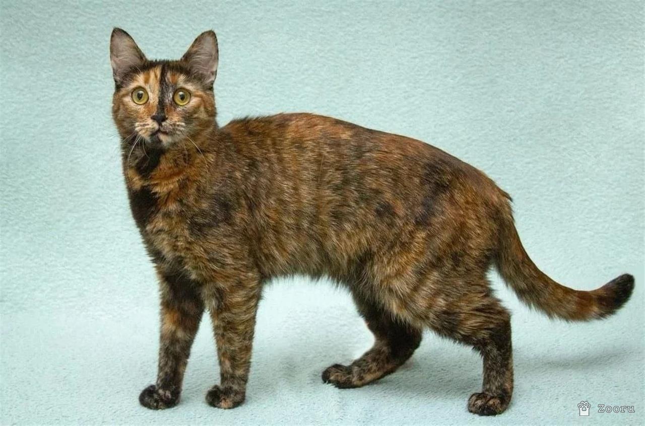 Карамелька