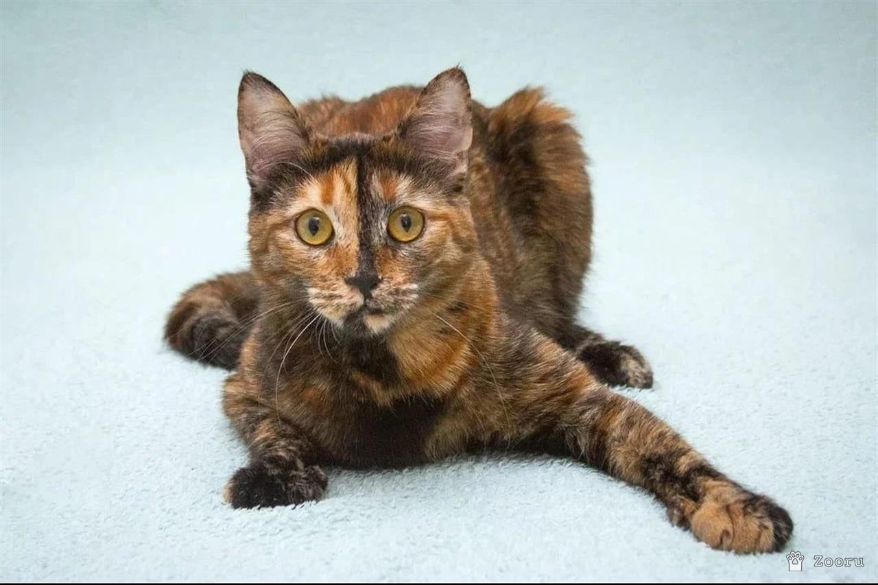 Карамелька