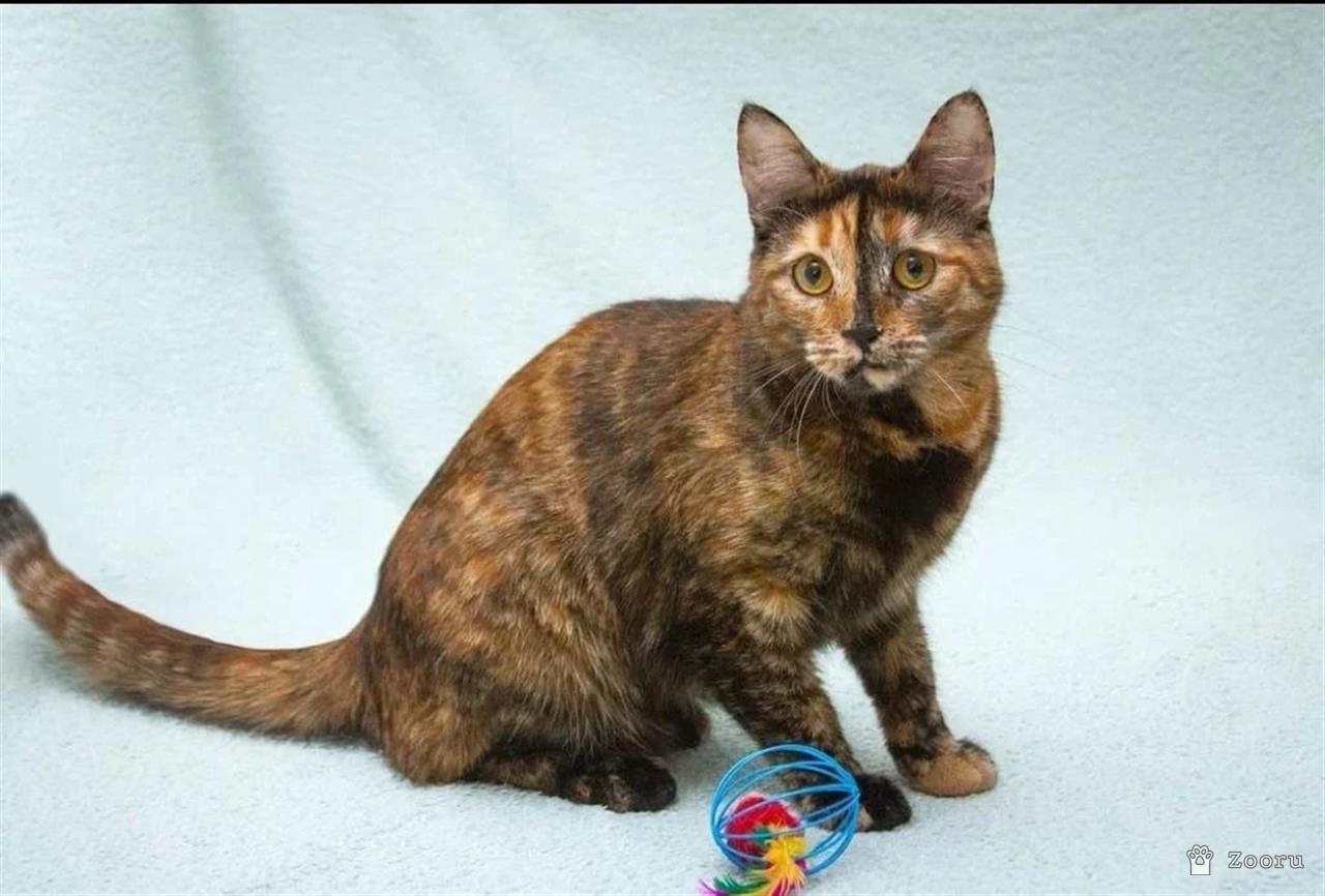 Карамелька