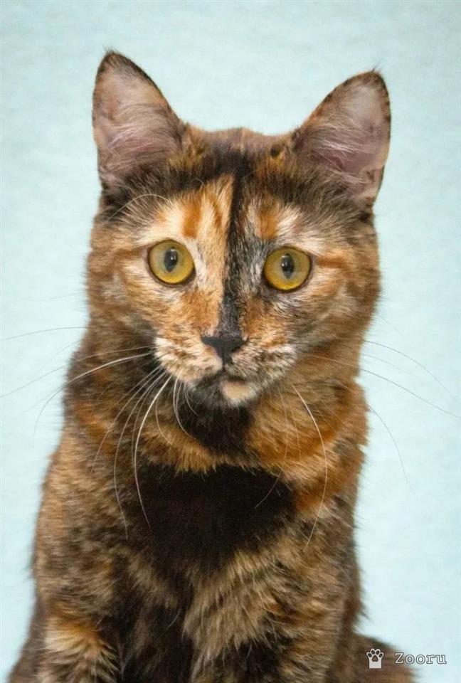 Карамелька