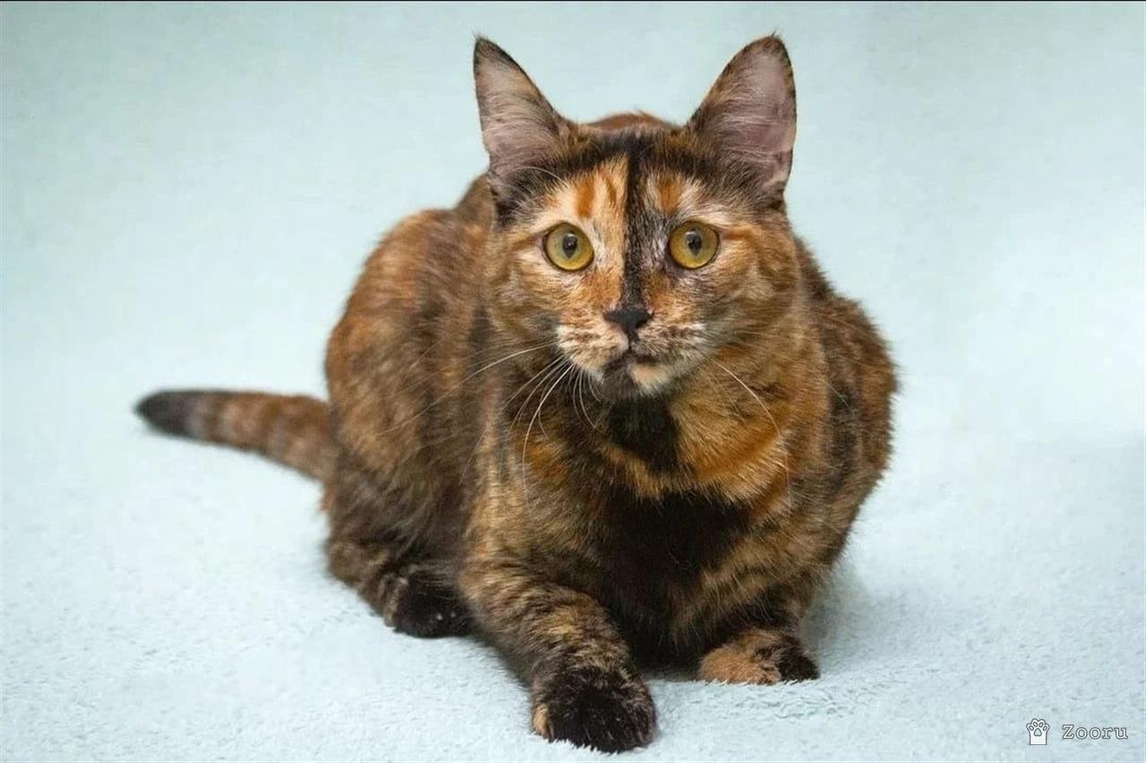 Карамелька