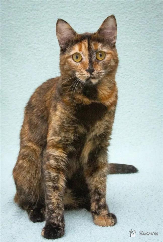 Карамелька