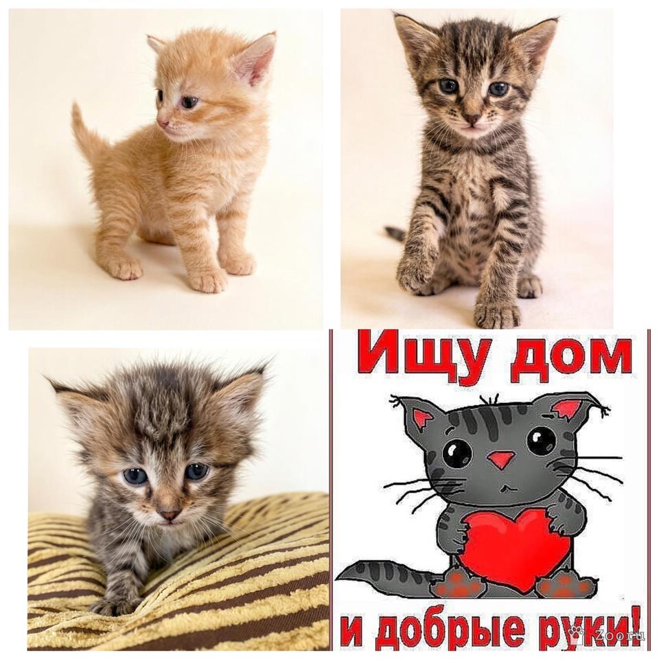 нету
