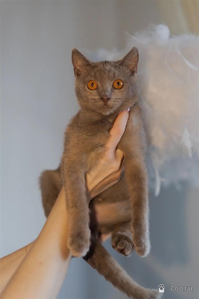 нет
