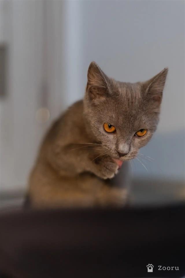 нет