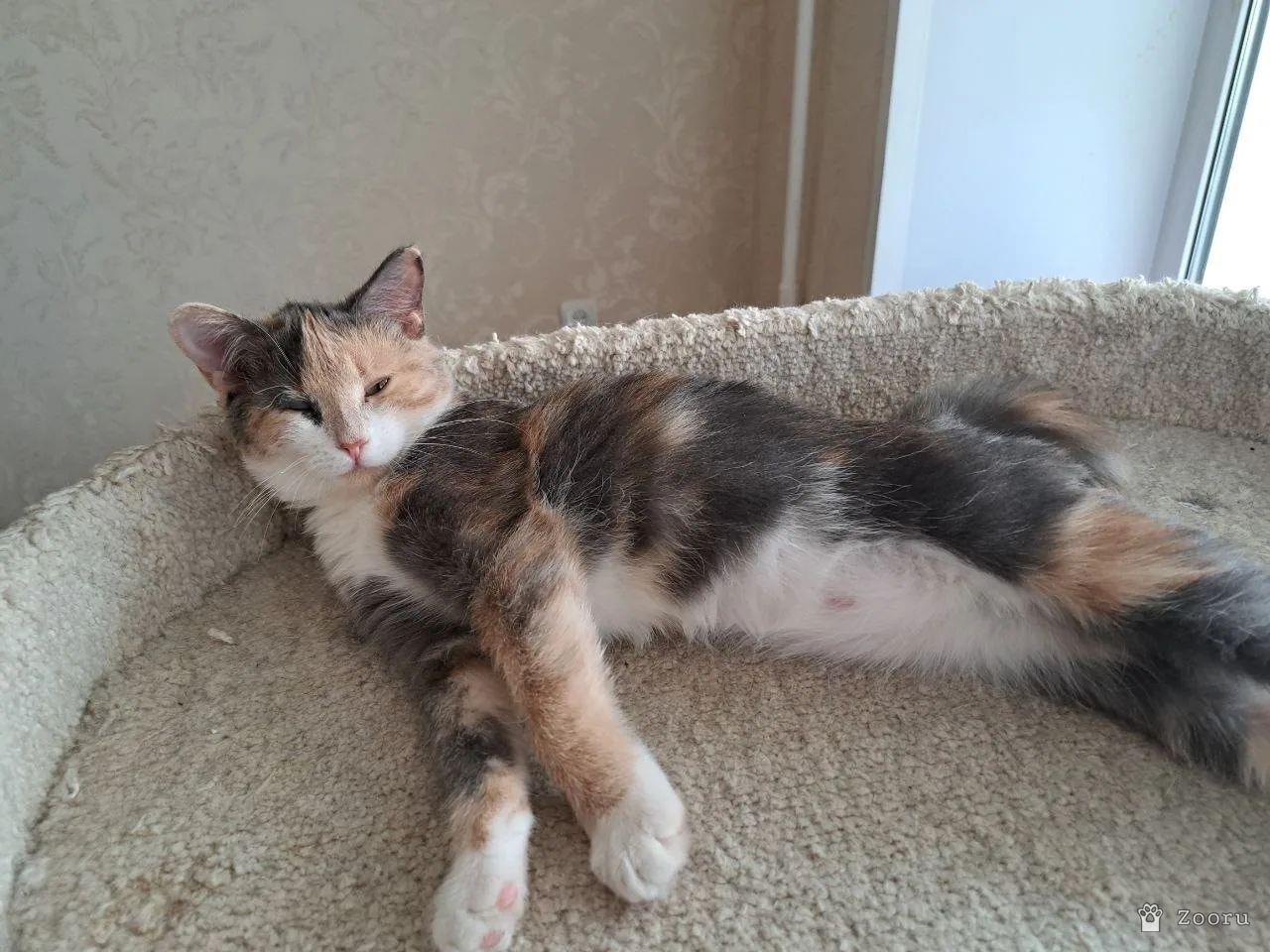 Селена