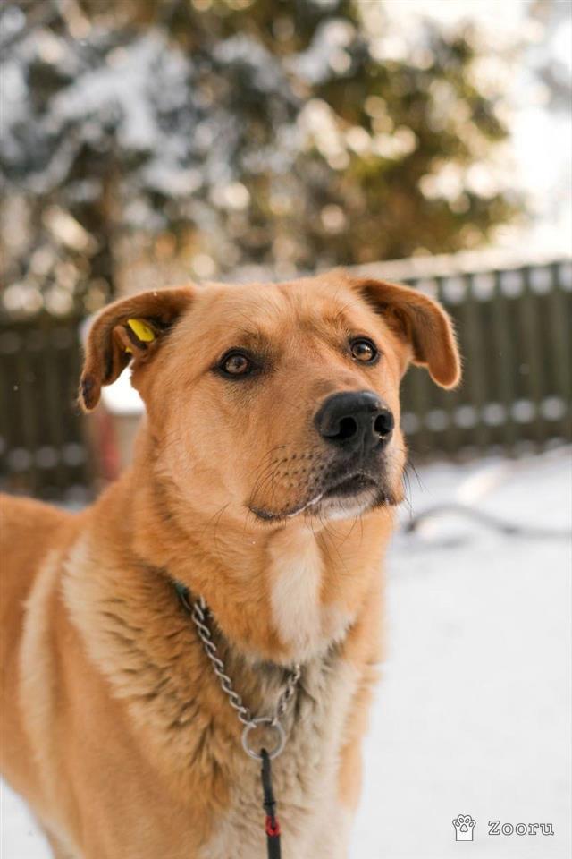 Рик мечтает стать частью семьи