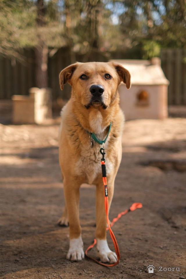 Рик мечтает стать частью семьи