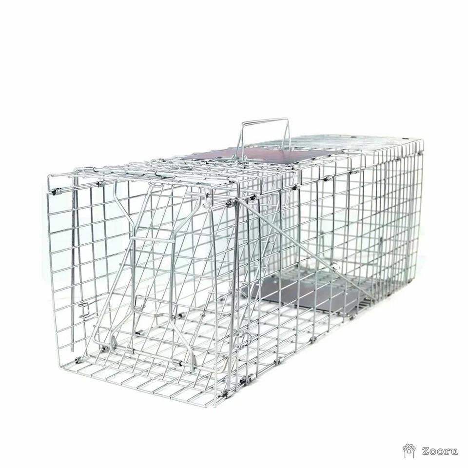 Котоловка аренда