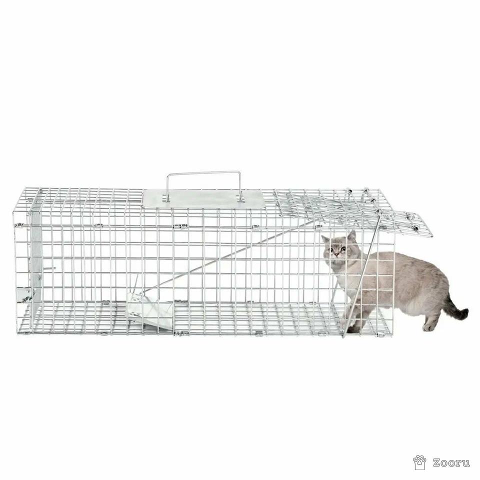 Котоловка аренда