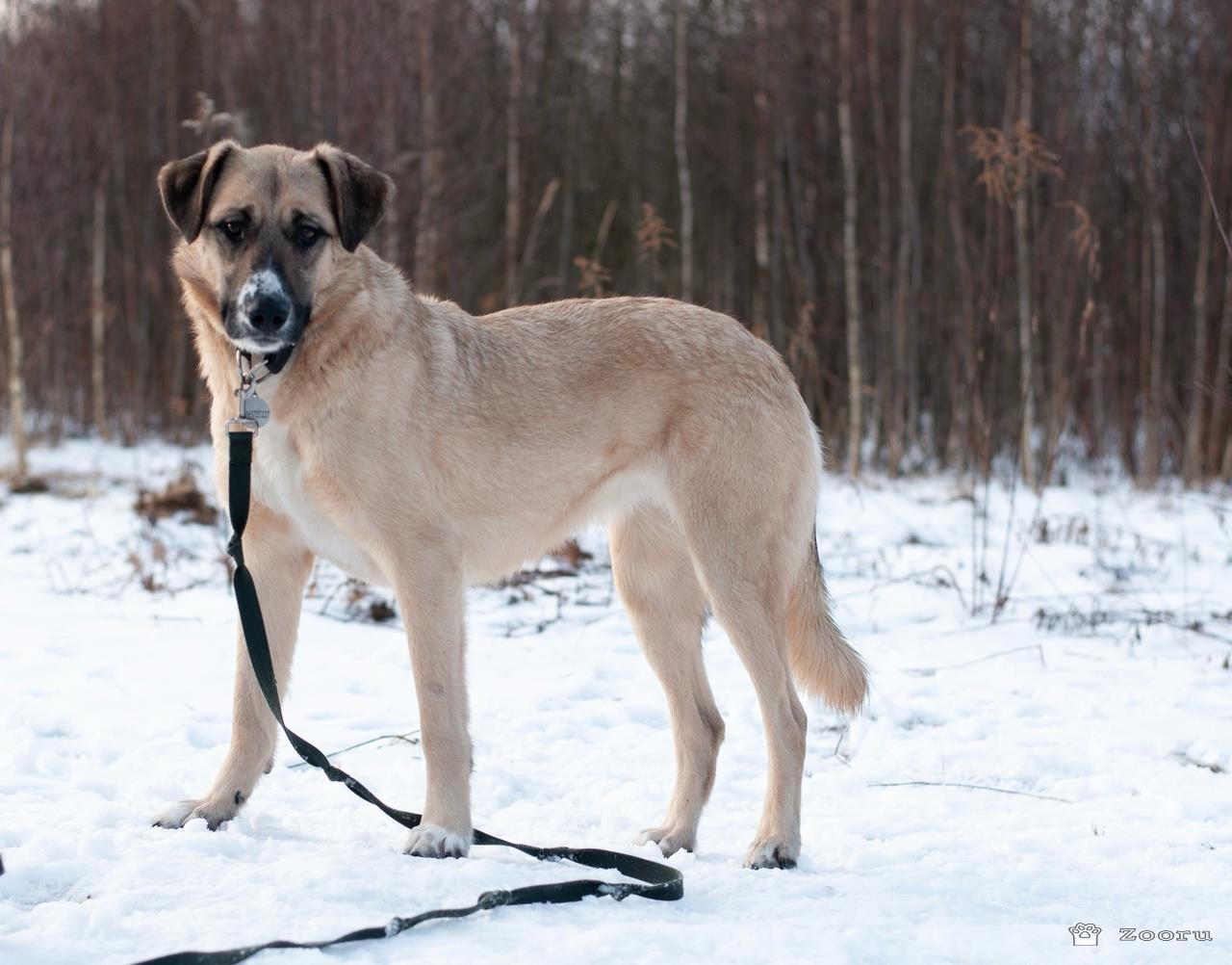 Скромная Нила