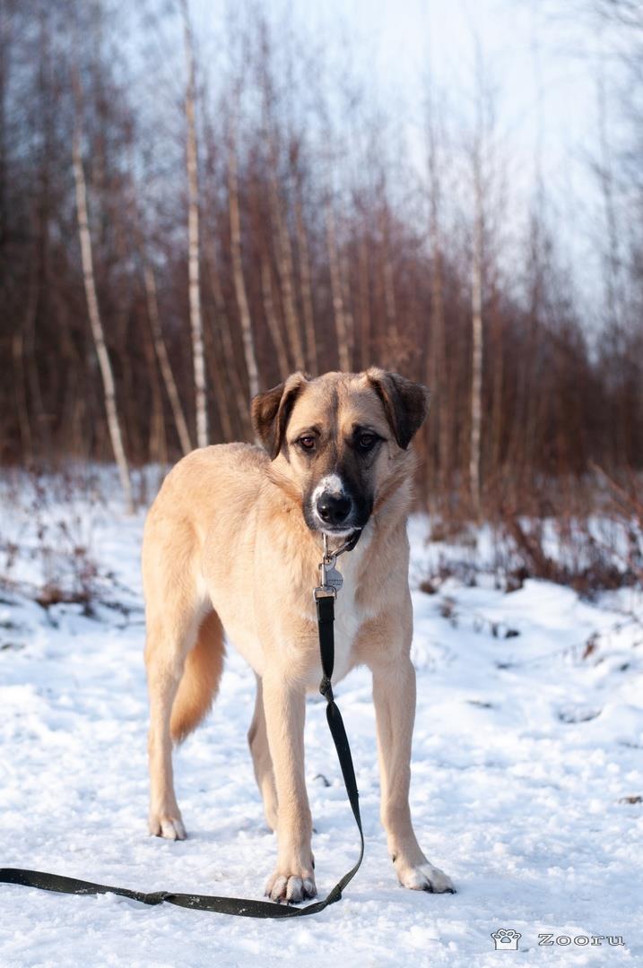 Скромная Нила