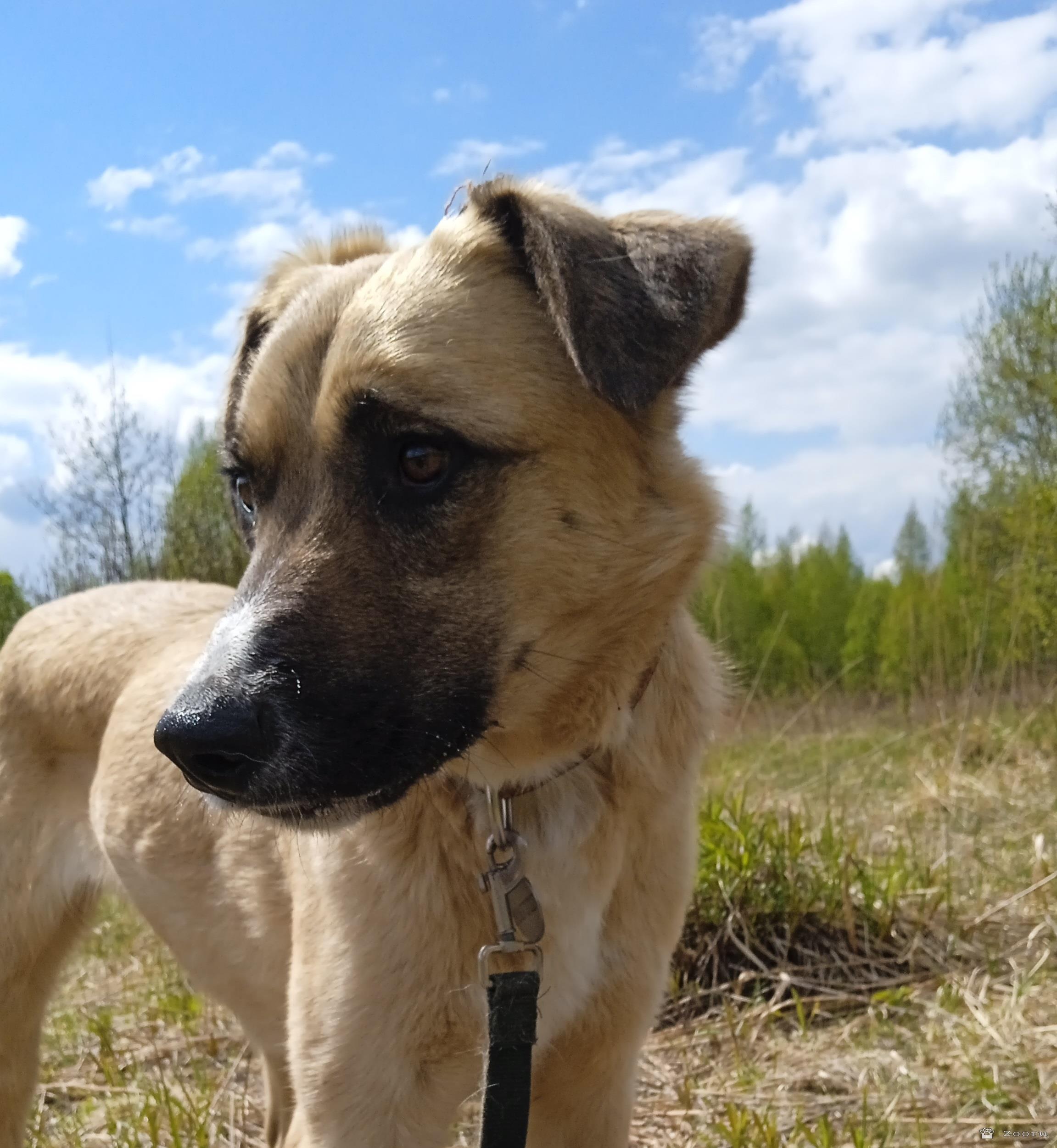 Скромная Нила