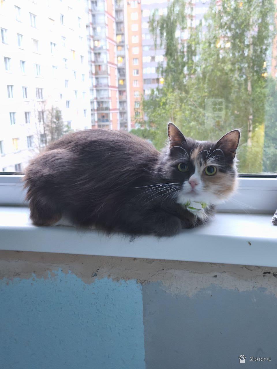 Гаечка